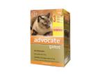 Anti Pulgas Advocate Gatos Até 4 Kg C/3 Pipetas - Bayer