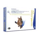 Anti pulgas gatos revolution 45 mg combo 3 pipetas validade 05/21 - Zoetis