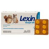 Antibiótico Lexin 300mg Duprat - 6cps Cartela Avulsa + Bula