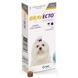 Antipulgas Carrapatos Bravecto Comprimido Cães De 2 A 4,5 Kg - Msd