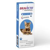 Antipulgas e Carrapatos Bravecto Transdermal para Gatos de 2,8 A 6,25KG - Msd