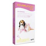 Antipulgas e Carrapatos Zoetis Revolution 6 para Cães e Gatos até 2,5 kg 1 Ampola de 0,25 Ml