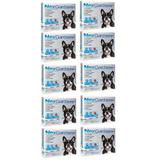 antipulgas Nexgard M Cães Entre 4-10 Kg Kit 10 caixa - ---