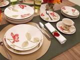 Aparelho Jantar/chá 30 Peças Beauty Oxford Porcelana Biona