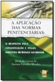Aplicacao das normas penitenciarias, a - Conceito editorial