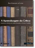 Aprendizagem da Crítica, A: Literatura e História em Walter Benjamin e Antonio Candido - Intermeios