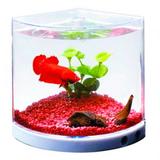 Aquario Beteira Dupla Betta Led Colors - Murano