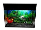 Aquário para peixes com iluminação, decoração e filtro 22,5 litros - 110V - Keller