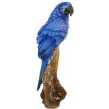 Arara azul de lear expositor enfeite de mesa grande - Rota do click