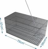Armadilha gatoeira para gatos e outros animais - Chocmaster