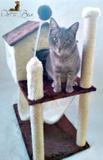 Arranhador casinha brinquedo para gatos - Pet in box