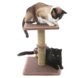 Arranhador para Gatos Plataforma Exclusivo - Barrettoimports
