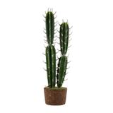 Arranjo Cacto Stenoceres 55cm - Occa Moderna