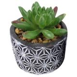 Arranjo de suculenta artificial 10cm - Dolce Home