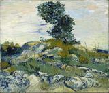 As Pedras - Vincent van Gogh - Tela 30x35 Para Quadro - Santhatela