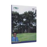 Atualidade da Doutrina Espírita DVD - Fep produções