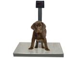 Balança Comercial/Industrial Digital Ramuza Pet - até 200 Kg