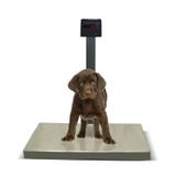 Balança Pet Cap.200kg/50g Plat.50X80 Mod. DP 200 PET INOX Código 6004 Ramuza