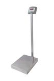 Balança Plataforma Eletrônica W300 + Coluna - 300Kg/50g - Selo Inmetro - Welmy