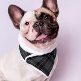 Bandana para cachorro Bo.be Poncho Xadrez Verde