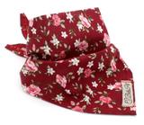 Bandana para Cachorro e Gato - G - Pet elegante