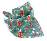 Bandana para Cachorro e Gato - M - Pet elegante