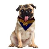 Bandana Pet - Mulher Maravilha - PP - L3 store