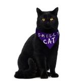 Bandana Pet - Smelly Cat - PP - Friends - L3 store