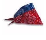 Bandana Repelente para Pets Procão Tamanho P