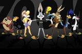 Banner Festa Looney Tunes 150x100cm - X4adesivos