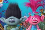 Banner Festa Trolls 150x100cm - X4adesivos