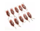 Barata De Borracha Assustar Pegadinha C/ 5 Unidades - Pet import