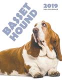 Basset Hound 2019 Calendar - Gumdrop press