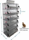 Bateria de 12 gaiolas para codorna - Chocmaster
