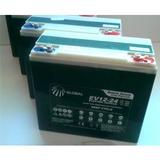 Bateria para Cadeira de Rodas Motorizada Ortobras G Power 24 Ah 12V - Par