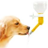 Bebedouro Bico Automático Pet Lambe Bilha Cães e Gatos - Loja catarinense