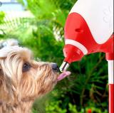 Bebedouro Cães E Gatos Bico Lambe Lambe Bilha Truqys Vermelho
