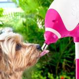 Bebedouro Lambe Lambe Bico Bilha Cães E Gatos Truqys Cor Rosa