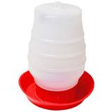 Bebedouro p Frango 2l - Nenhuma