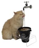 Bebedouro Para Gatos Magicat Edição Especial Black Catmypet 220v
