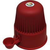 Bebedouro vida mansa 2 litros não molha o pelo vermelho
