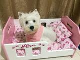 Berço Cama para Cães em Madeira - Tamanho P 57x35 - Cor Rosa - Artesanato jsl pet