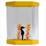 Beteira Acrilico Decorada Mr Pet 15 X 10 Cm