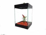 Beteira decorada 10 x 10 x 15 cm - Mf