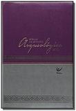 Biblia de estudo arqueologica n v i - capa luxo vi - Vida biblias