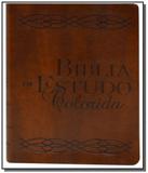 Biblia de estudo colorida - capa marrom - Bv films
