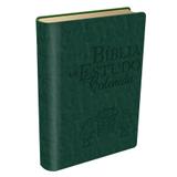Bíblia de estudo colorida - verde - nvi - Bl021