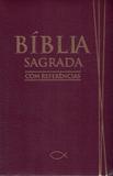 Biblia sagrada com referencias vinho - BV FILMS BIBLIA