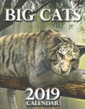 Big Cats 2019 Calendar - Gumdrop press