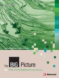 Big picture b1 pre-intermediate wb with cd - Richmond didatico (moderna)